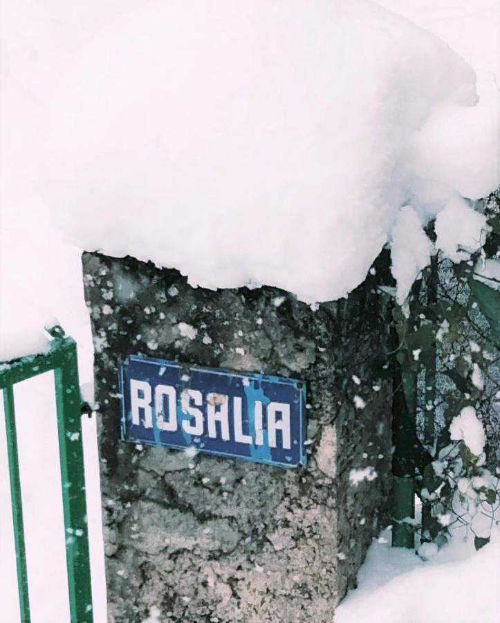 Villa Rosalia Вильянуа Экстерьер фото